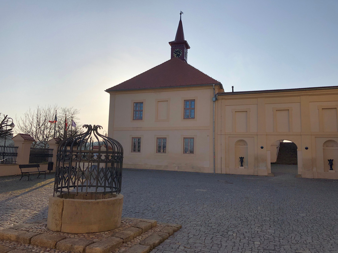 Zámek Nižbor Informacni centrum keltske kultury-Nizbor必去景点