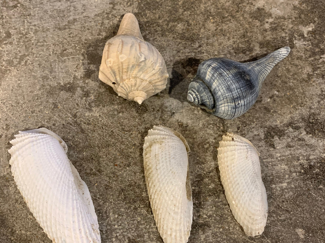 Blue Water RV Resort主图