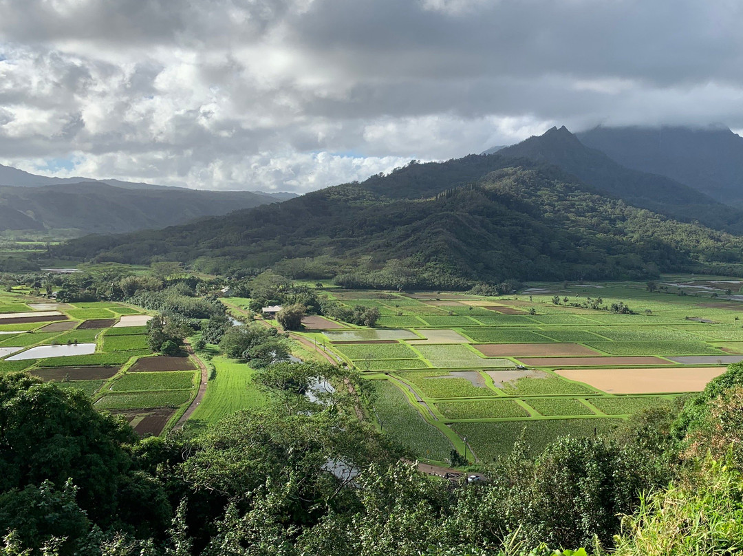 Hanalei Valley Lookout-普林斯维尔必去景点