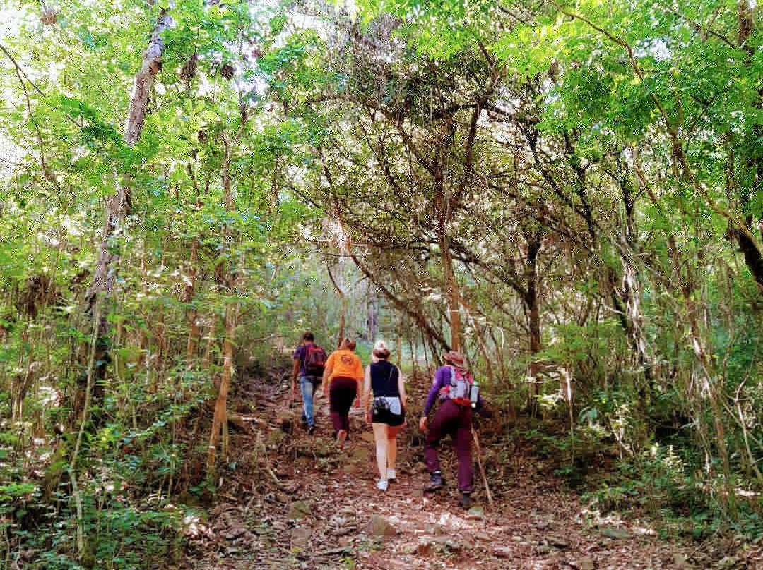 Vale da Pedra Branca Trail-Praia Grande必去景点