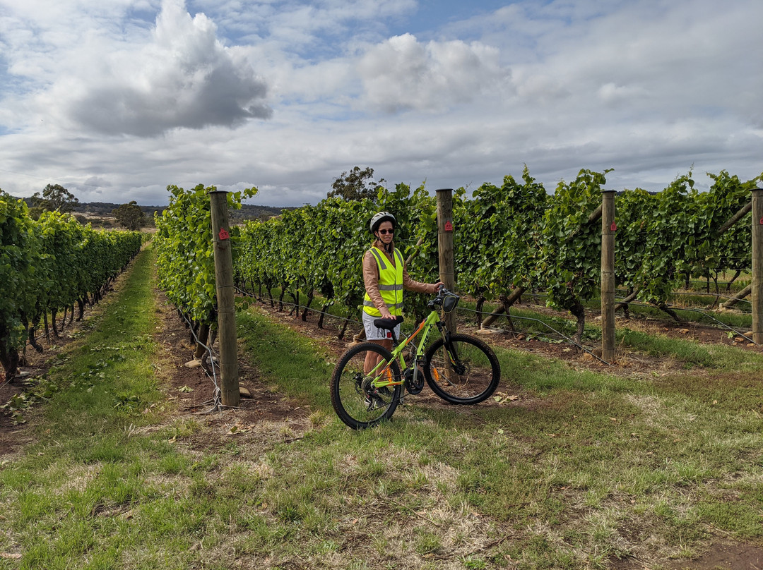 Swansea Cycle Tours景点图片