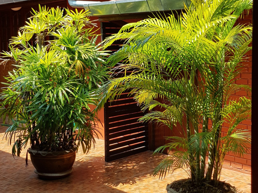 Golden Teak Home主图
