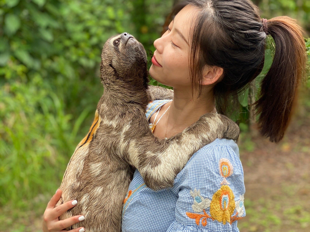 Amazon Jungle Survival Tours-伊基托斯必去景点