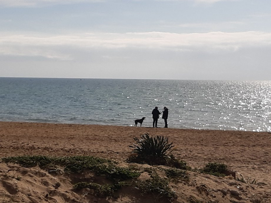 Stabilimento Balneare la Scogliera-Santa Severa必去景点