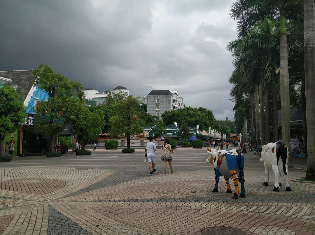 南山花卉世界-深圳市必去景点