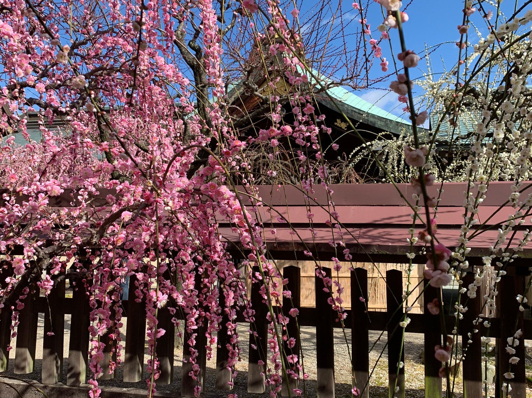 Yuki Shrine景点图片