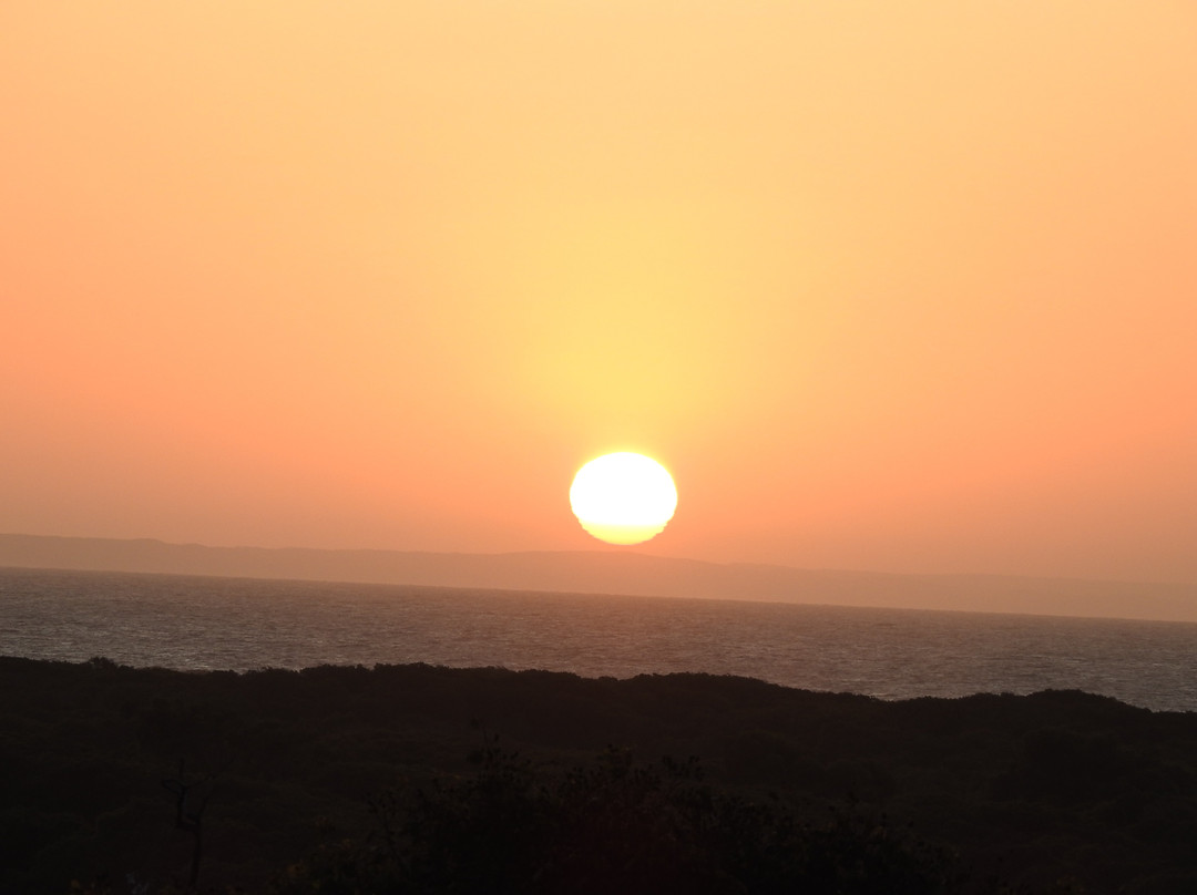 Augusta Hotel Motel主图