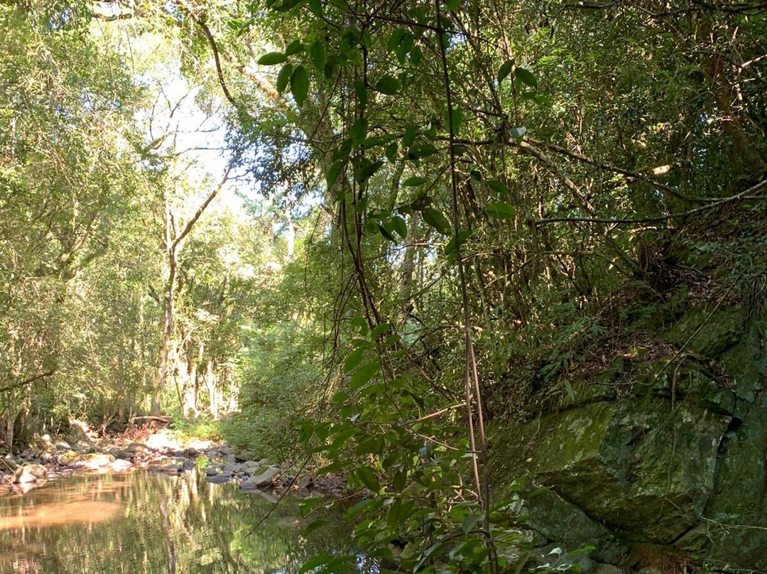 Cascata do Mezzomo-Silveira Martins必去景点