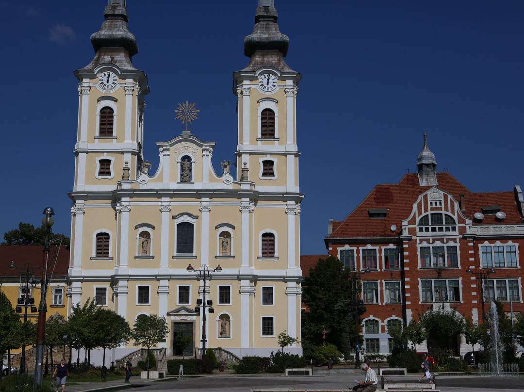The Minorite Church-米什科尔茨必去景点