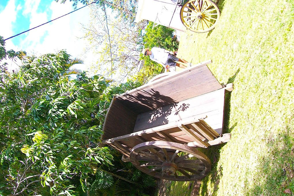 Villa-Musée de Païta-Paita必去景点