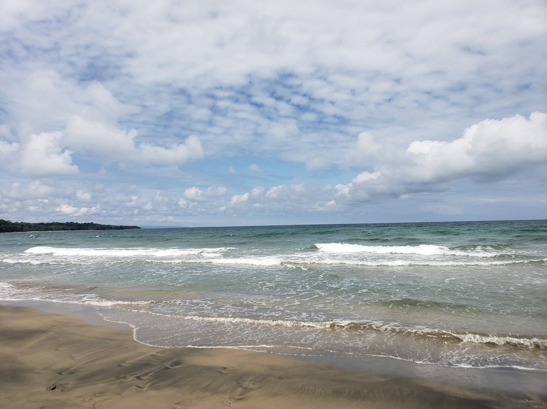 Caribe Fun Tours景点图片