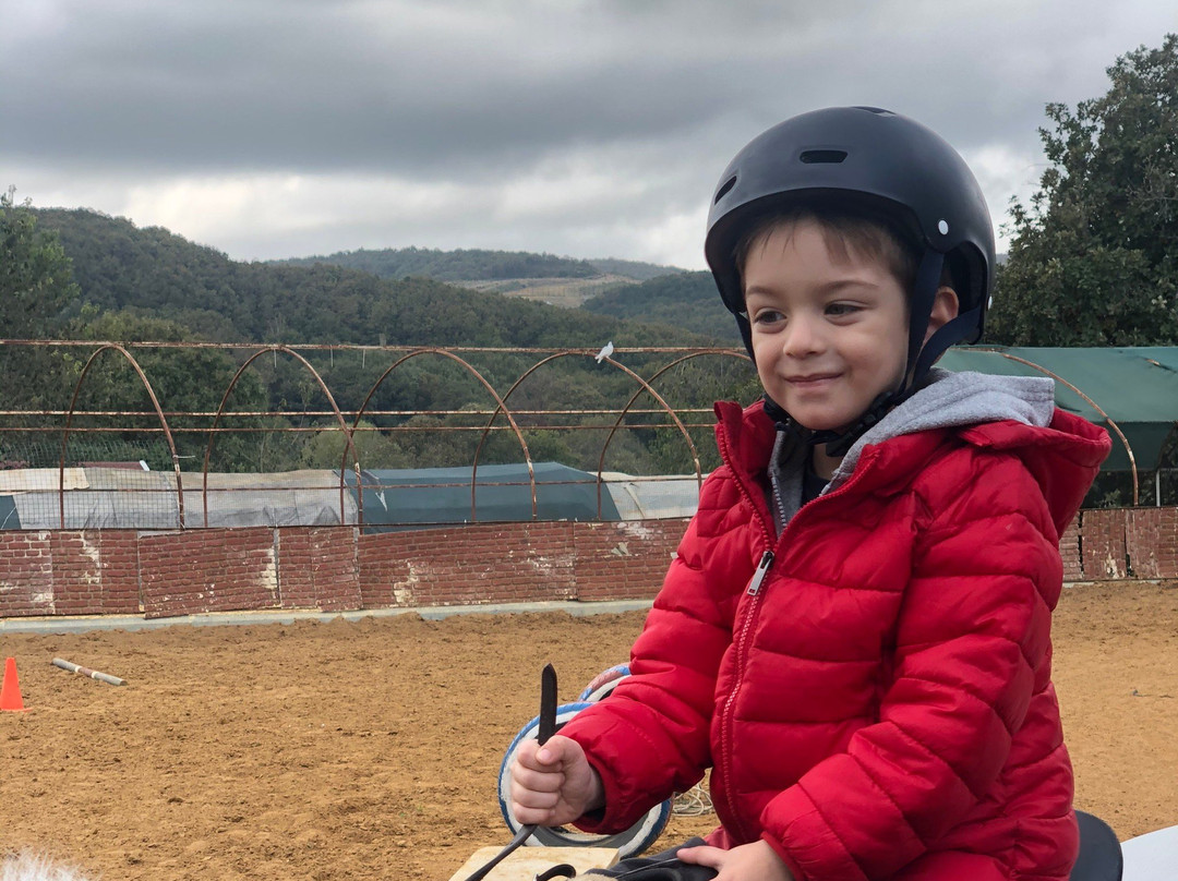 Hasat Ciftlik-伊斯坦布尔必去景点