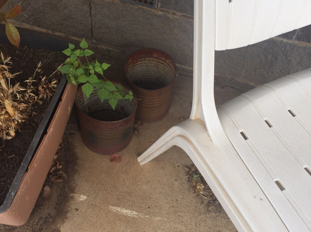 Econo Lodge Portland主图