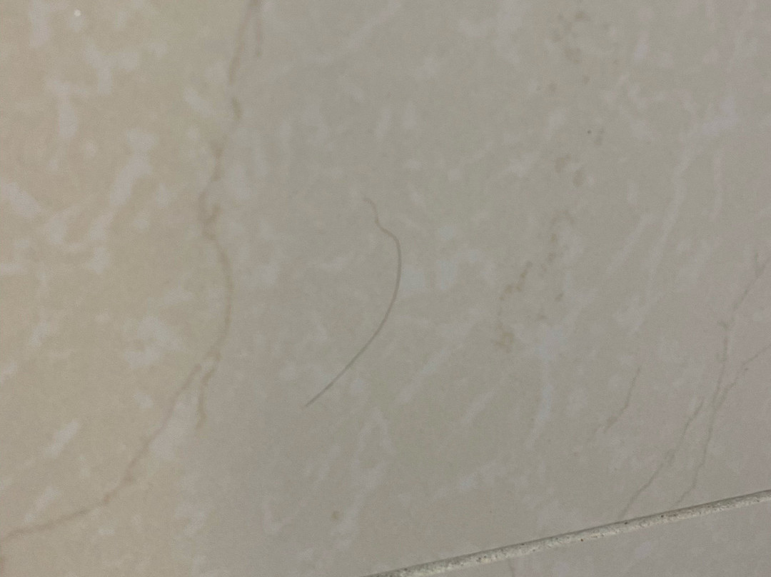 Hotel Lucerna Tijuana主图