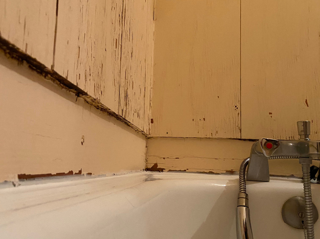 Odalys Essential Residence Résidence du Port主图