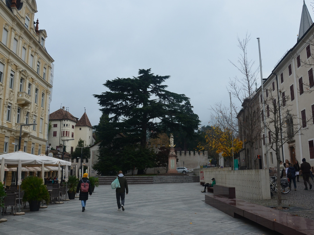 Corso Della Liberta景点图片