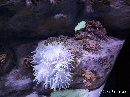 Maritime Museum-沙迦必去景点