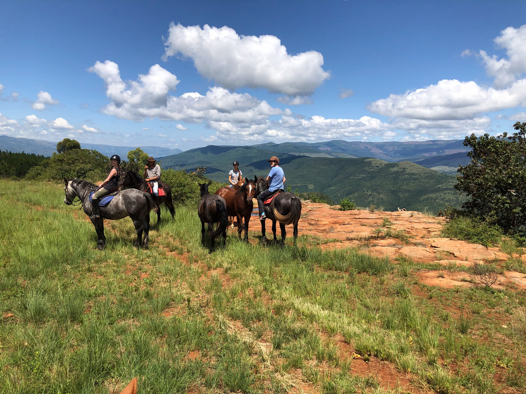 Kaapsehoop Horse Trails Day Trips-Kaapsehoop必去景点