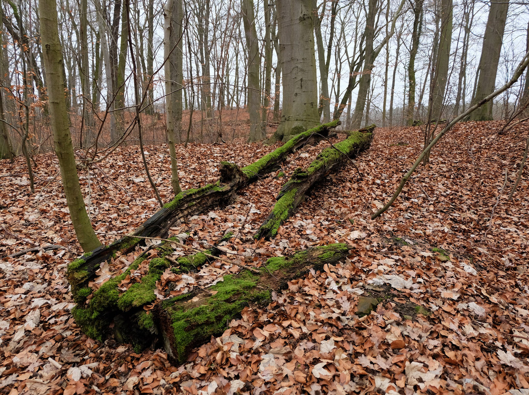 Velpker Schweiz-Velpke必去景点