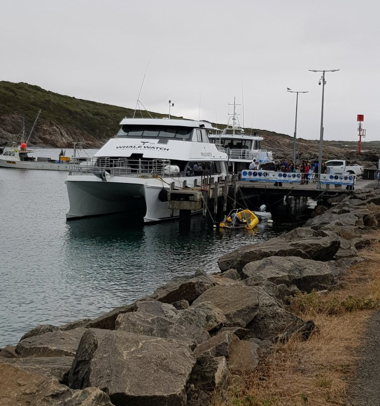 Bremer Canyon Killer whale Expeditions-Bremer Bay必去景点