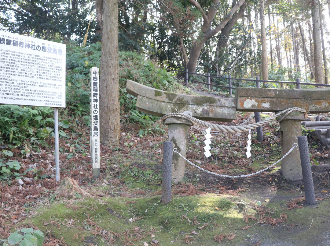 Ushine Fumoto Inari Shrine Buried Torii-垂水市必去景点