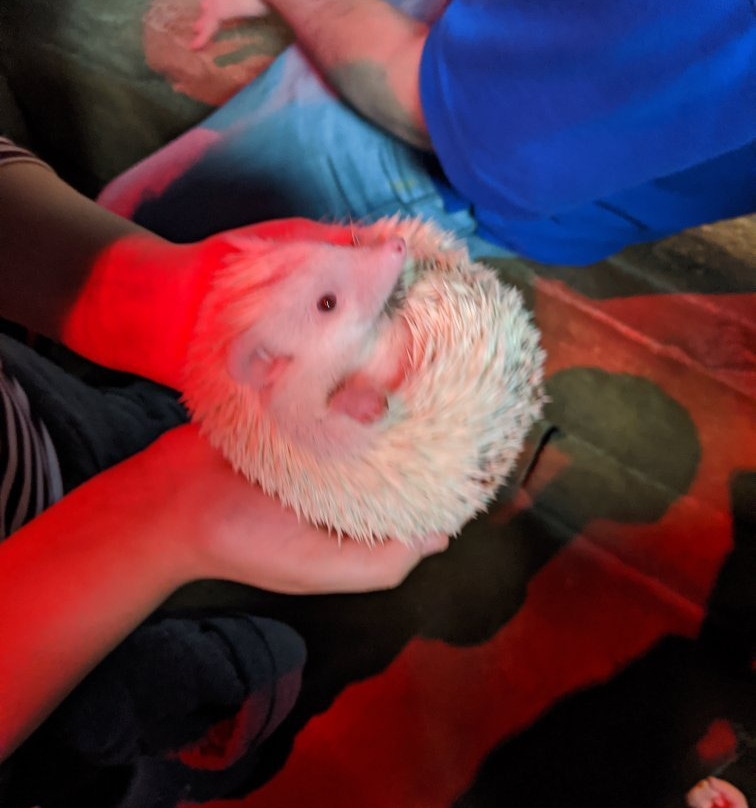 SeaQuest Trumbull-特兰伯尔必去景点