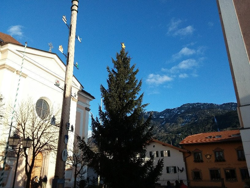 Piazza Kraus景点图片