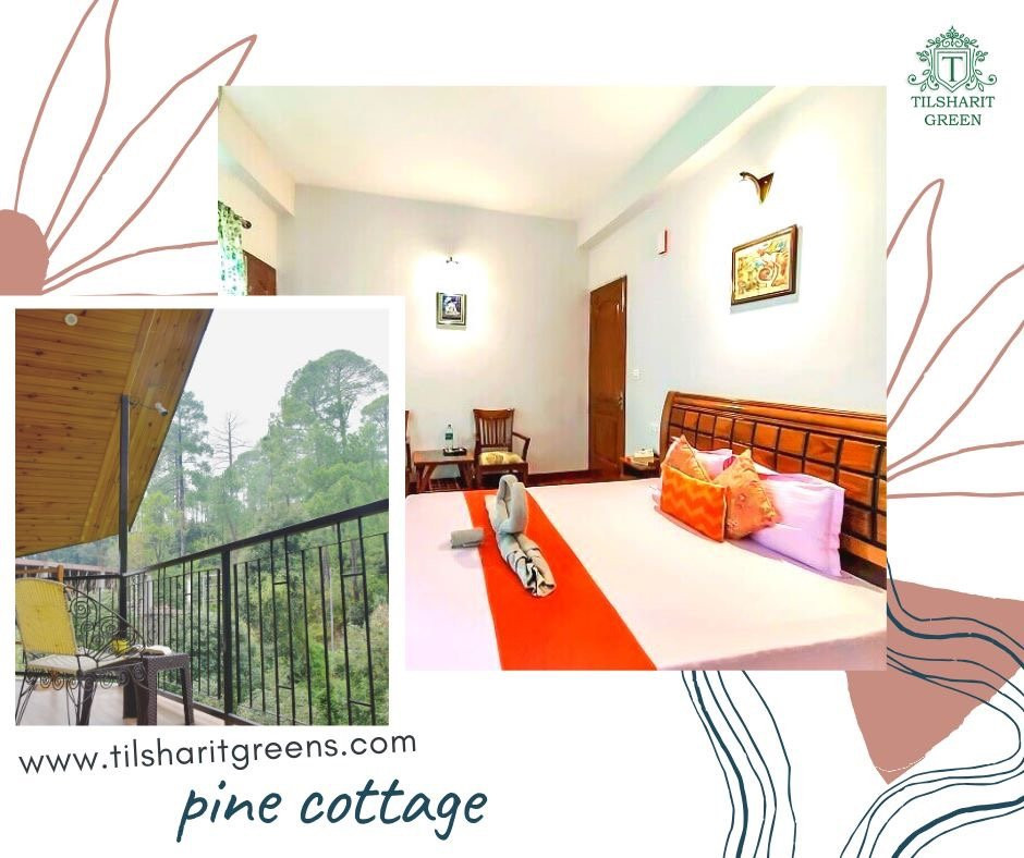 Tilsharit Green主图