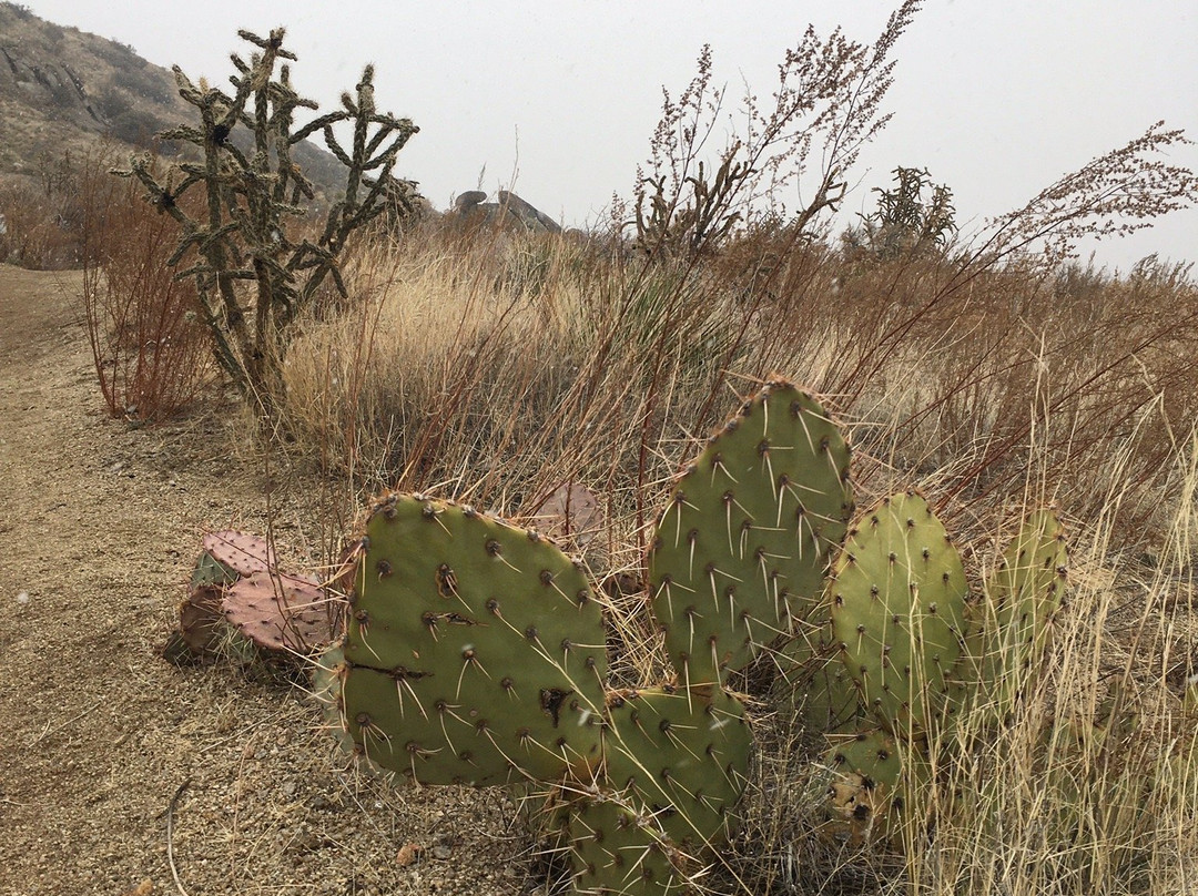 Piedra Lisa Trail-Tijeras必去景点