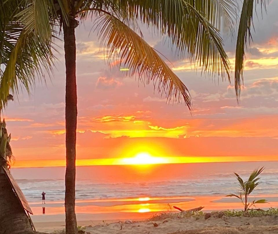 Costa Rican Trails - Day Tours-圣何塞必去景点