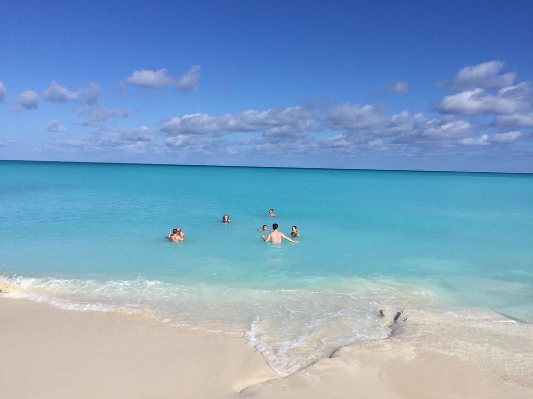 TCI Safari Tours-普罗维登西亚莱斯必去景点