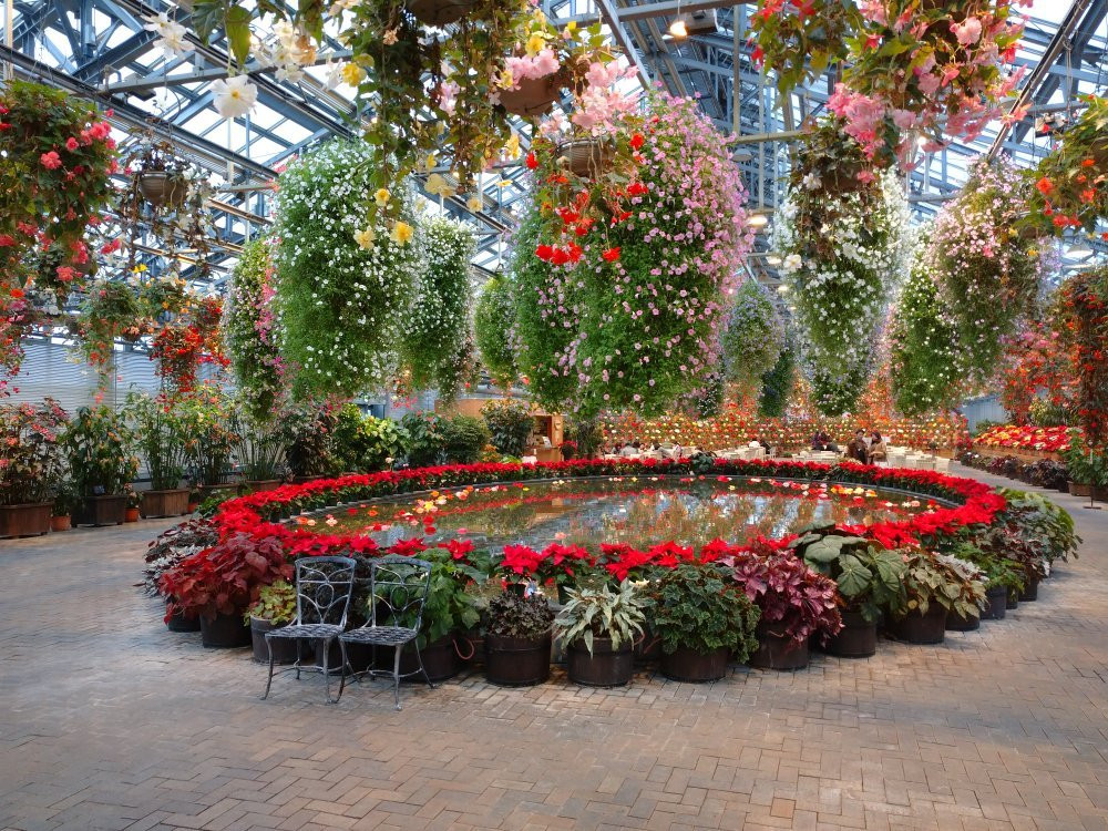 Begonia Garden-桑名市必去景点