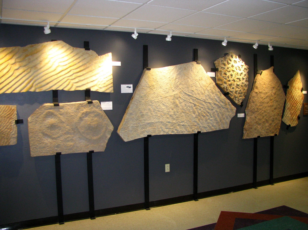 University of Wisconsin Geology Museum景点图片