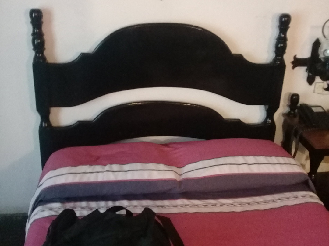 Hotel Villa de Flores主图