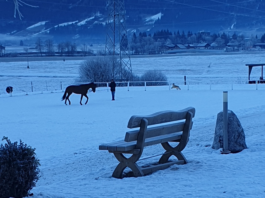 Landgut Edelweiss-卡普润必去景点