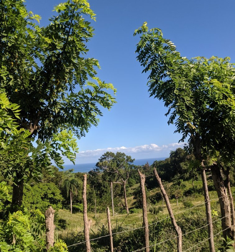 Outback Adventures-普拉塔港必去景点