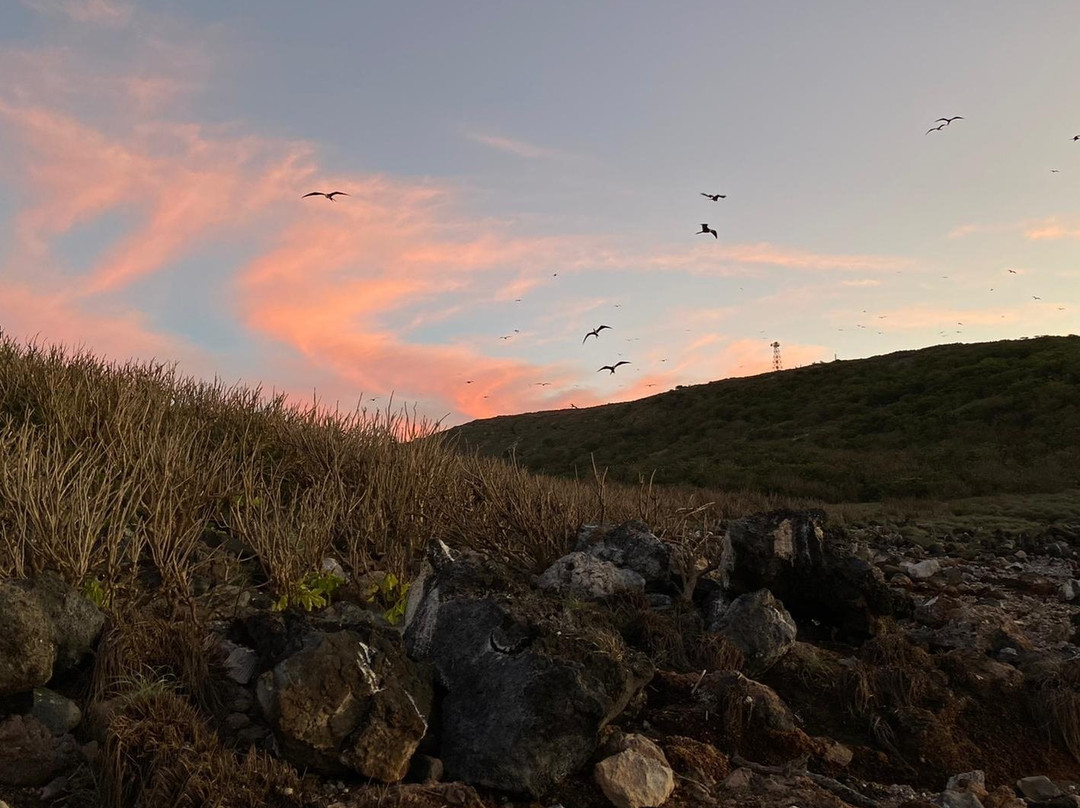 Isla Isabel-San Blas必去景点