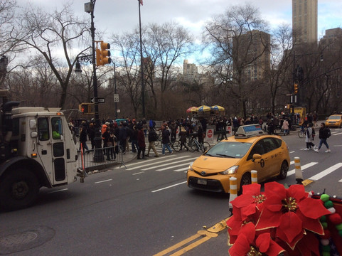 Central Park Carriage Rides - Official Booking  Site-纽约市必去景点