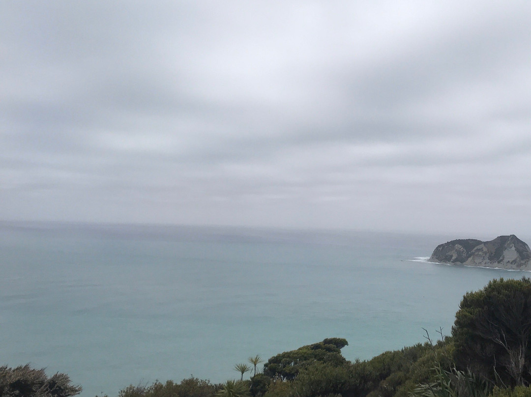 East Cape Lighthouse景点图片