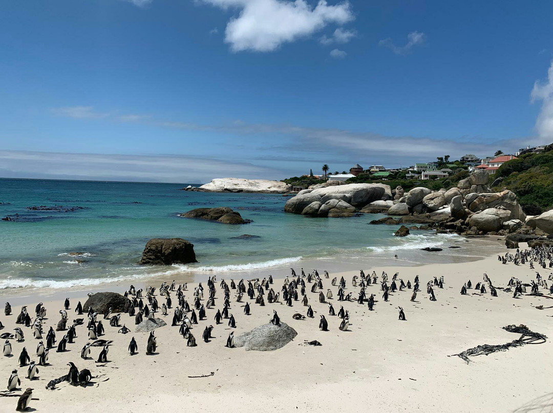 Tsamburu   Africa  travel-开普敦中心区必去景点