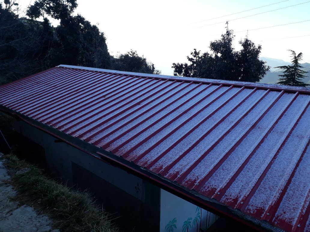 Bliss of Nature主图