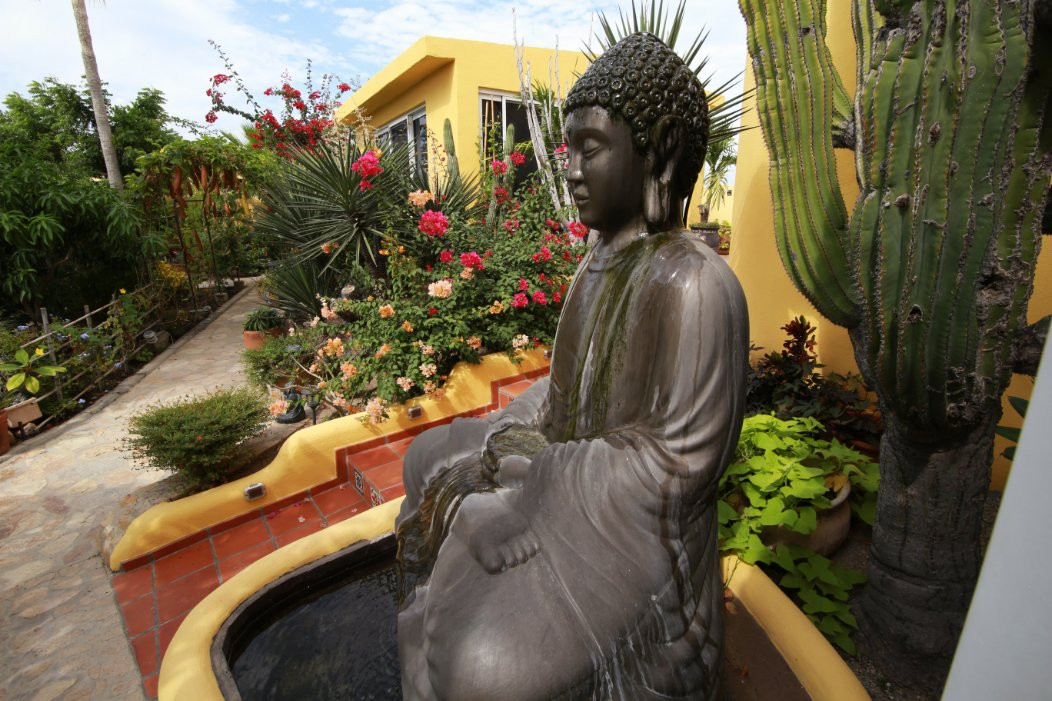 Rukhsana's Wellness Heavenly Retreat景点图片