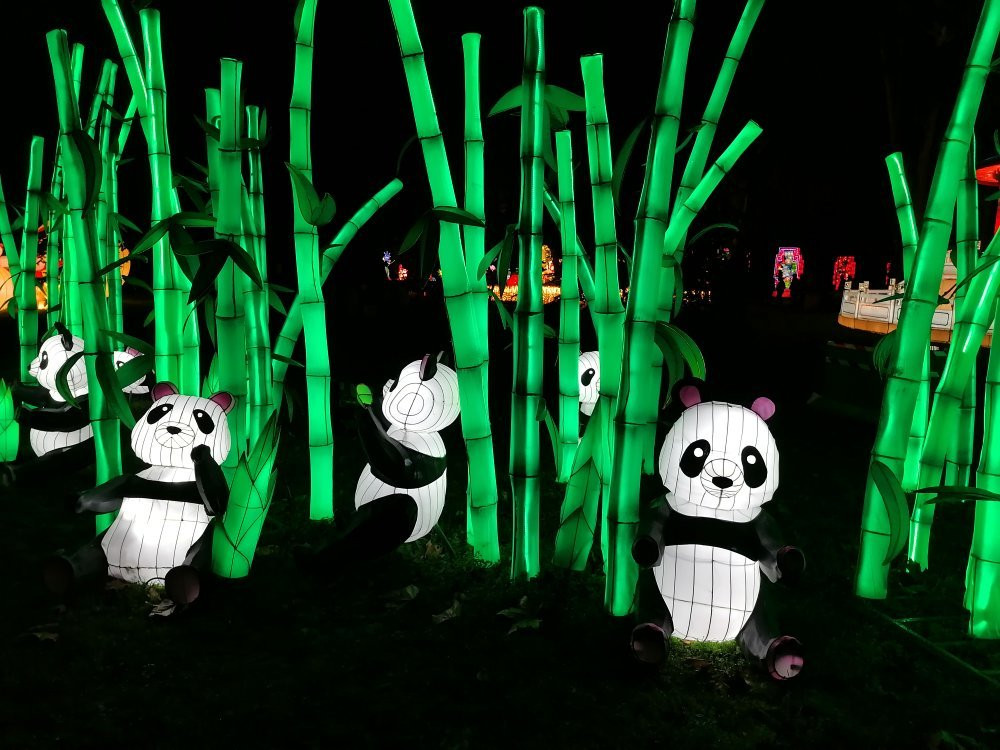 Festival Des Lumieres Celestes景点图片