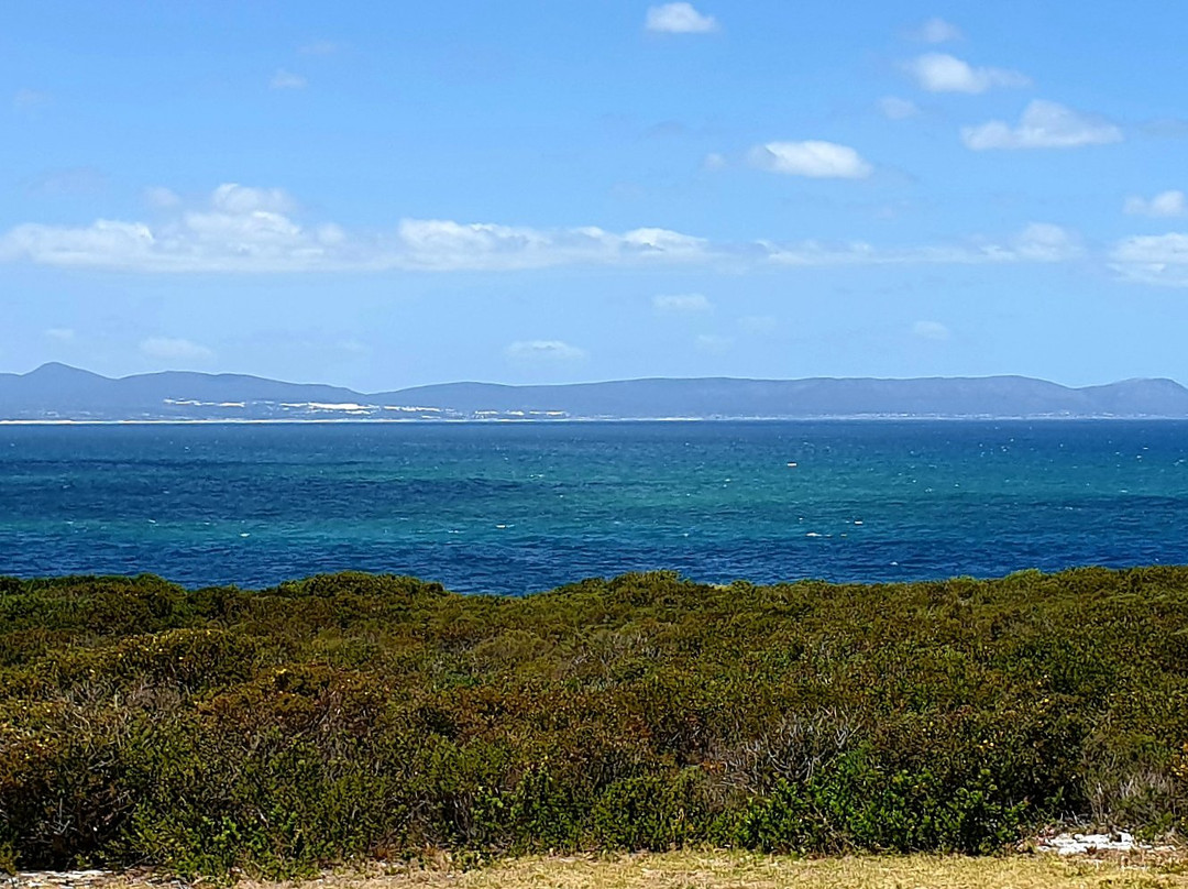 One Marine Drive Boutique Hotel主图