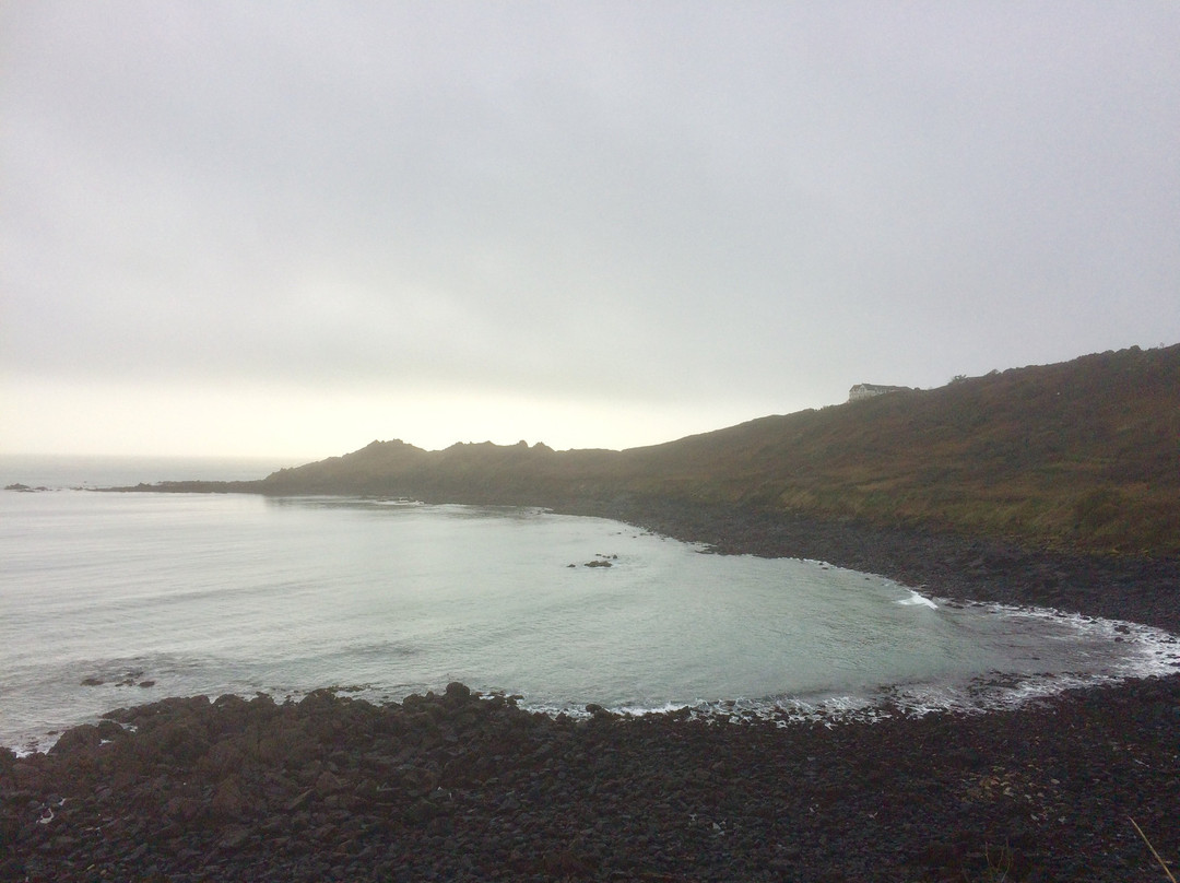 Coverack Harbour-Coverack必去景点