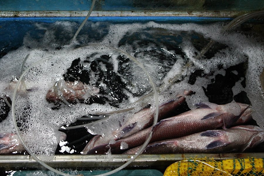 Suhyup Susanmul Center-高兴郡必去景点