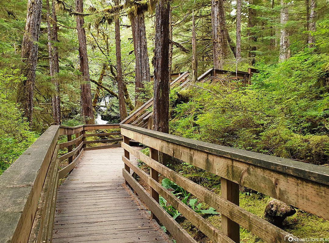 Ketchikan Tours-凯奇坎必去景点