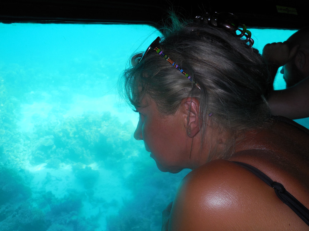 Palm Beach Resort主图