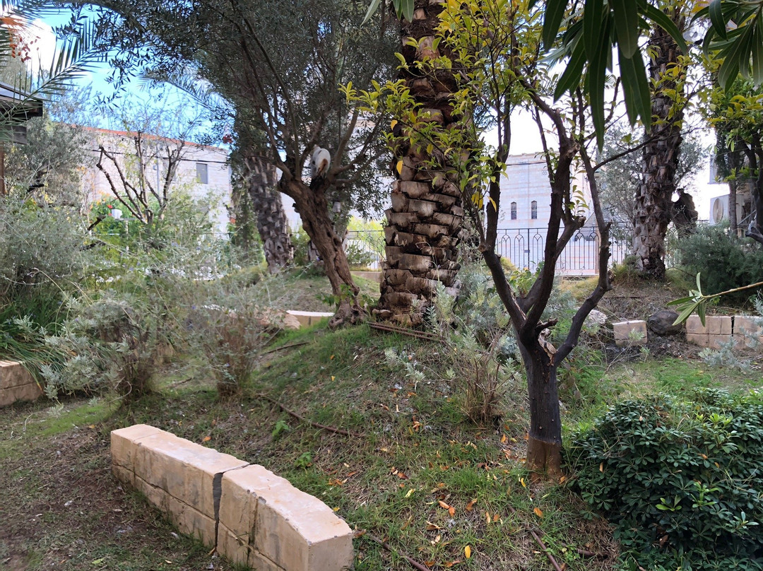 Centre International Marie de Nazareth-拿撒勒必去景点