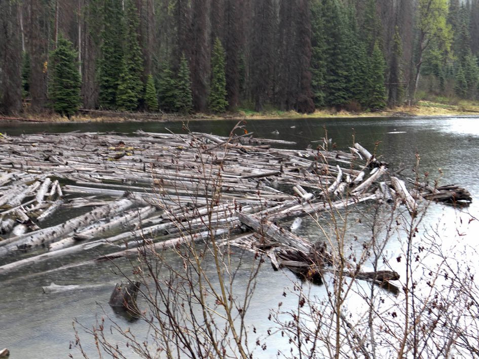 Duffey Lake Provincial Park景点图片